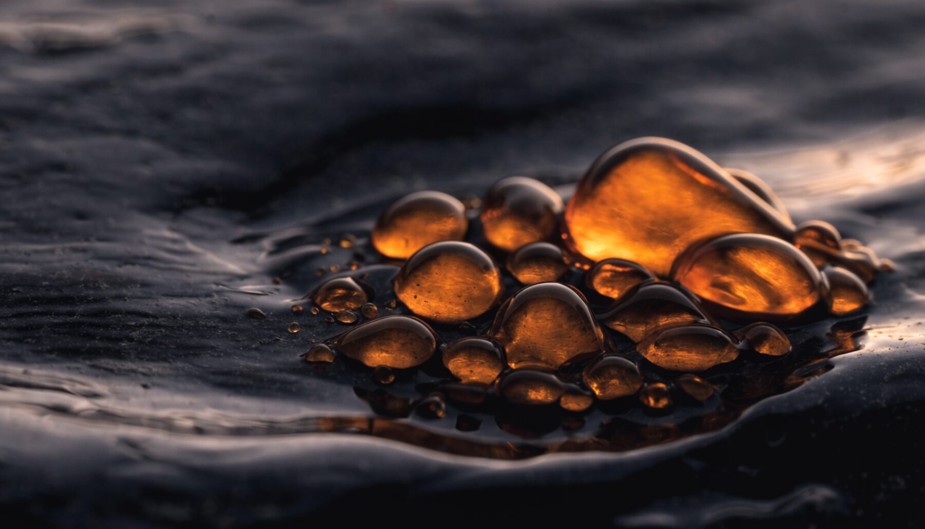 Seborrhoeic Keratosis (“Age Warts”) &mdash; condition guide by Dr Sin Yong
