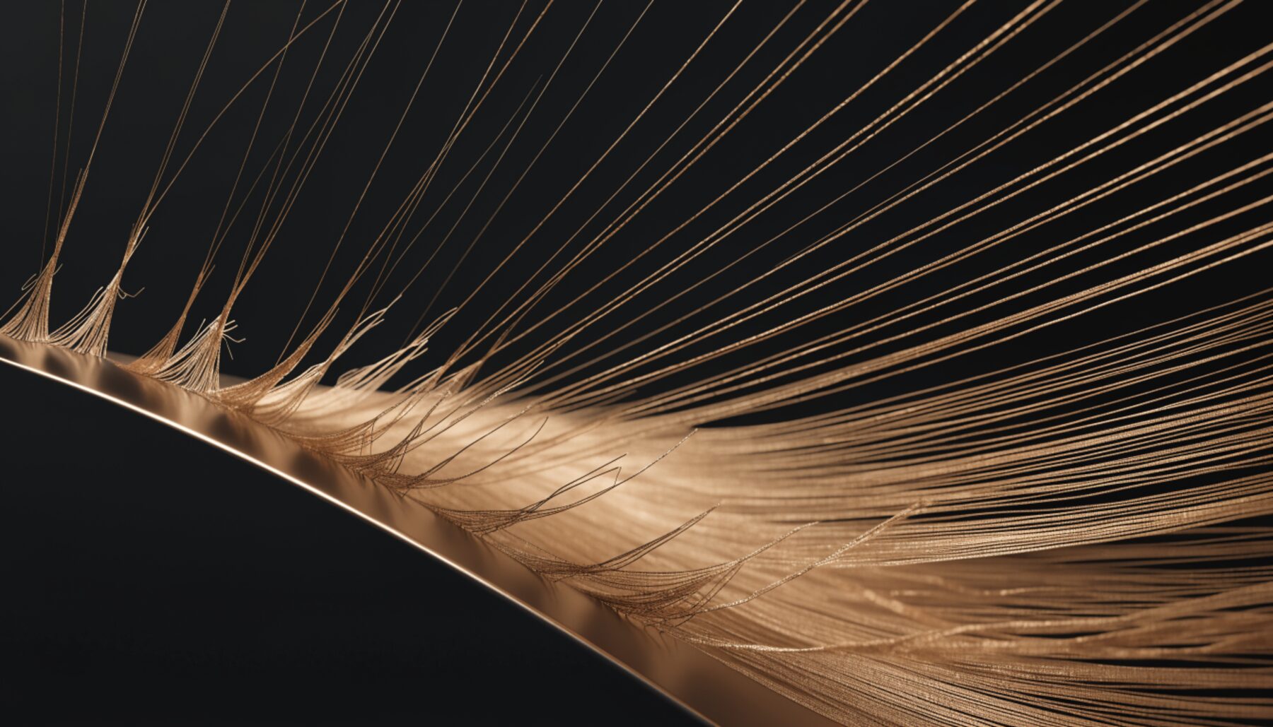 Traction Alopecia &mdash; condition guide by Dr Sin Yong
